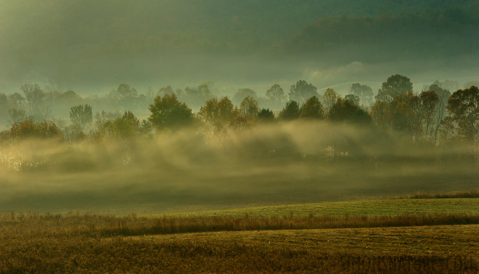 [190 mm, 1/200 sec at f / 14, ISO 1600]